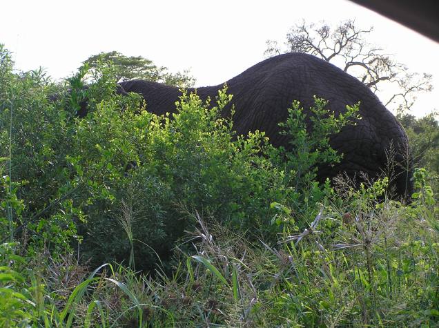 That's KP Over There