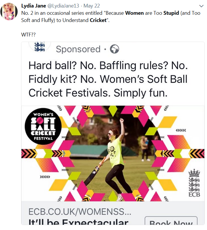 Soft Ball Cricket